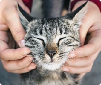 Allergies & Dermatology